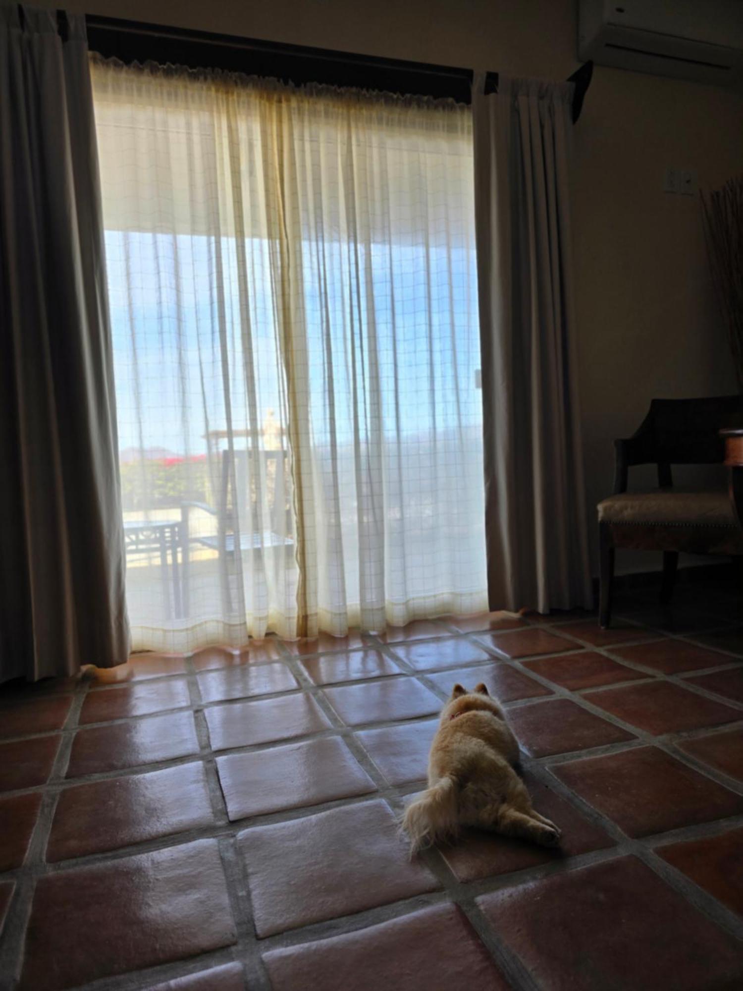 Hacienda Guadalupe Hotel Eksteriør billede