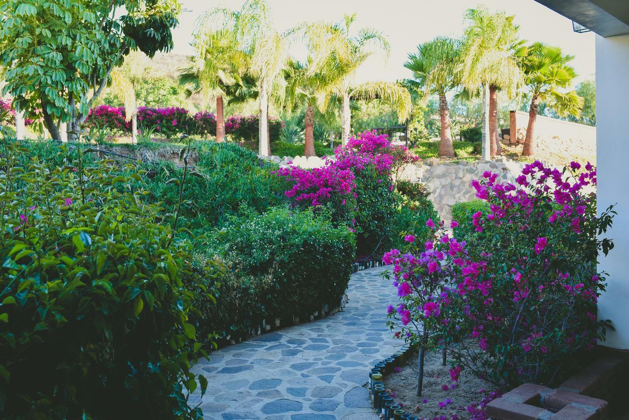 Hacienda Guadalupe Hotel Eksteriør billede